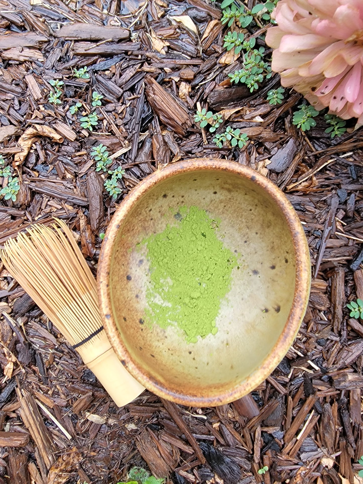 1 x bulk bag of matcha